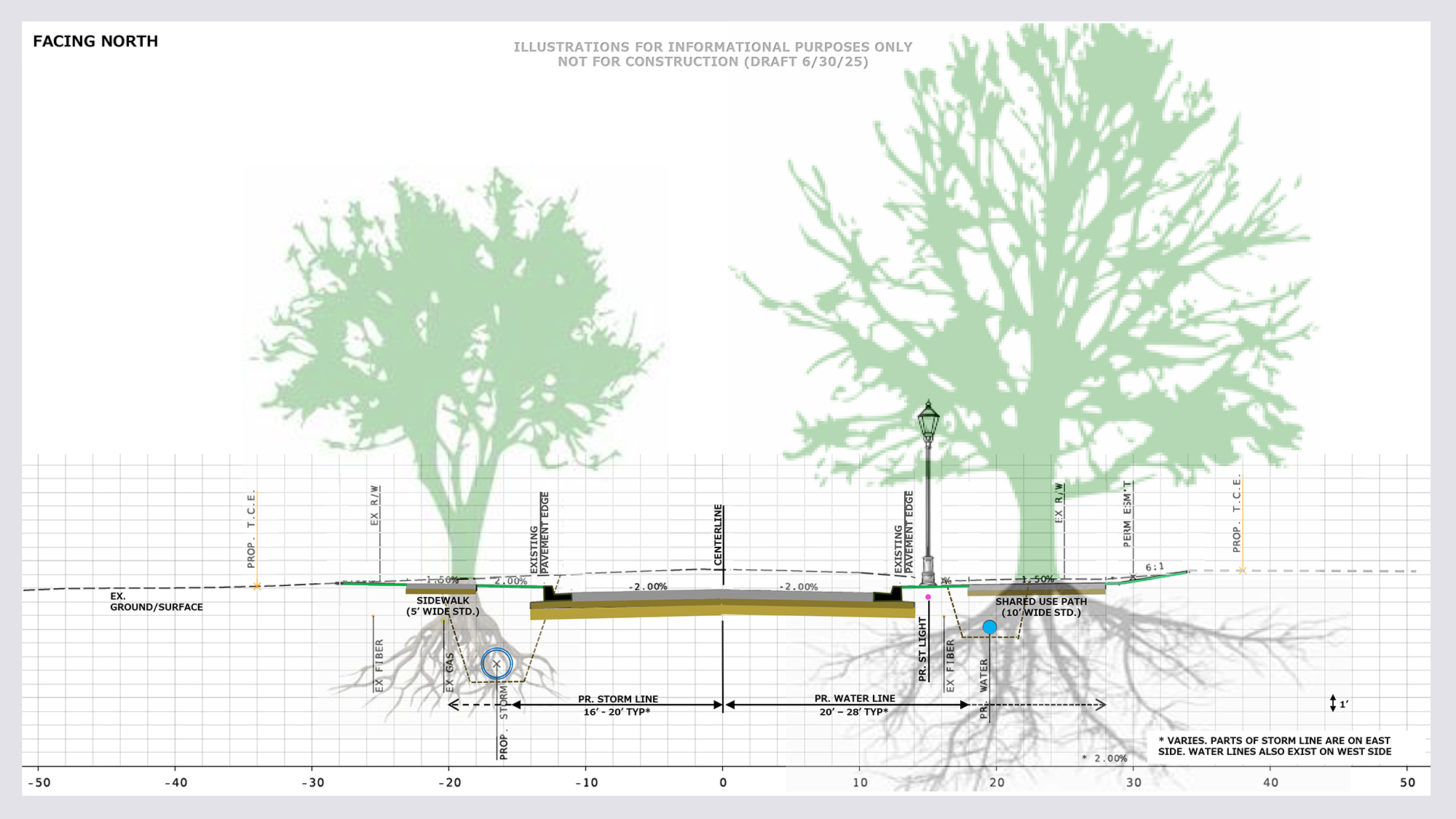 Douglas Street Improvements Tree Cross Section